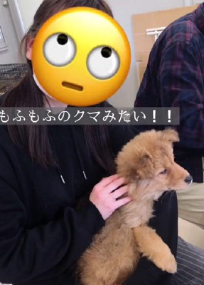 毛並みはモフモフだけど…