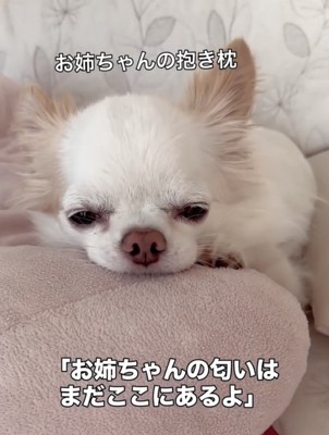 2年後、元気で再会しようね