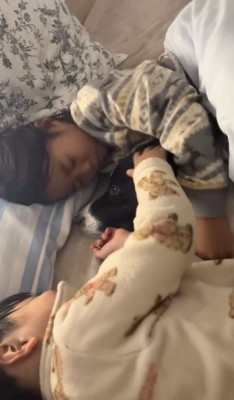 マックスくん＆ロイくんと育った男の子9