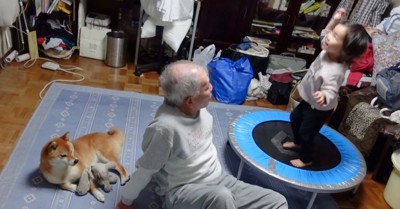 柴犬と女の子とおじいちゃん