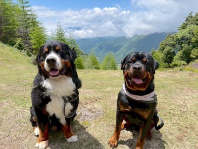 仲良し
