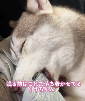 赤ちゃんすぎる光景にキュン♡