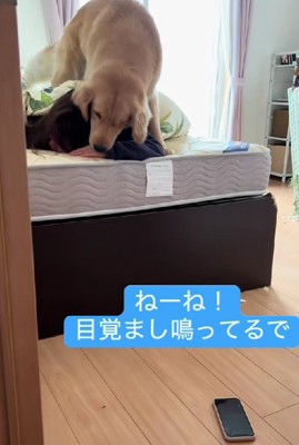 アラームが鳴り響く朝