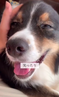 笑顔を見せてくれるように