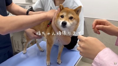 まずは福ちゃんから
