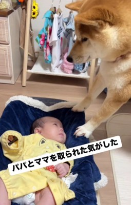 複雑な感情を抱くことも