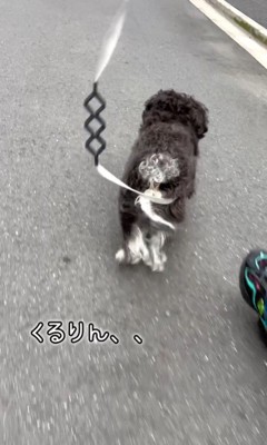 綱吉くんを止める方法4