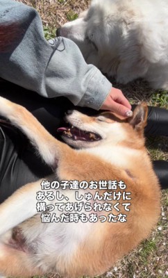 幸せでたまらない…