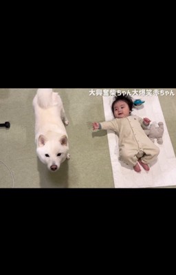 はしゃぐおまめ君&笑う赤ちゃん4