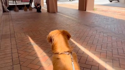 男性に近寄る犬