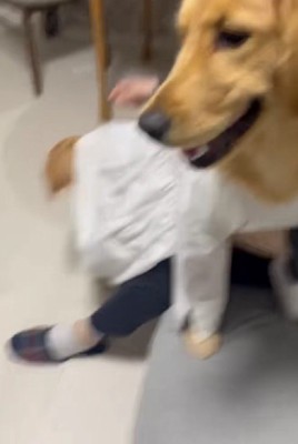 ご満悦で可愛い…♡