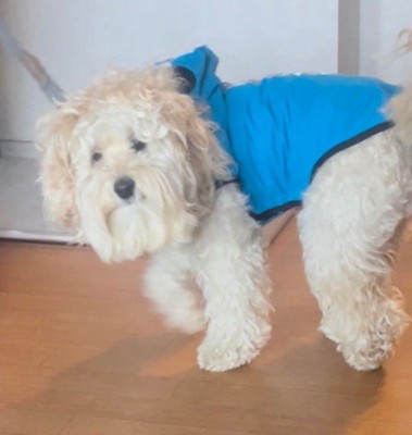 なんか老けた…?