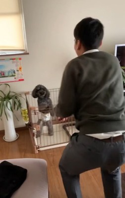 名コンビなふたり