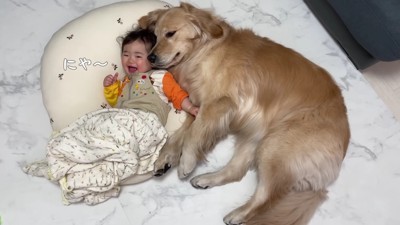 おからちゃんが添い寝