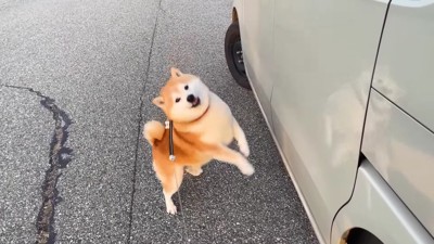 ソワソワが止まらない