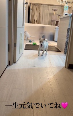 克服できてよかったね！