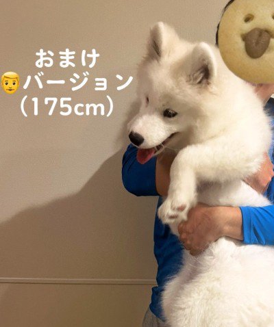 ギャップにやられる…♡