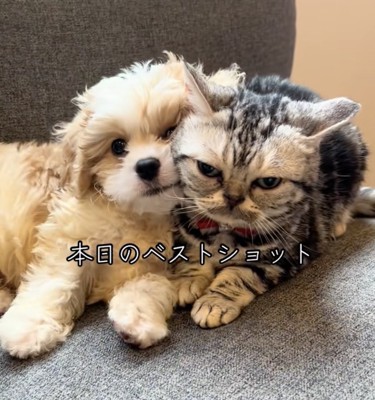 とっても仲良し