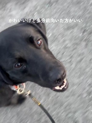 前方注意だよ～！！