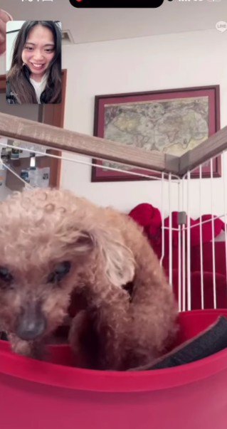 ベッドから這い出して…