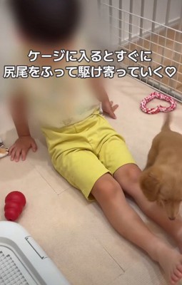 息子さんの元へ…
