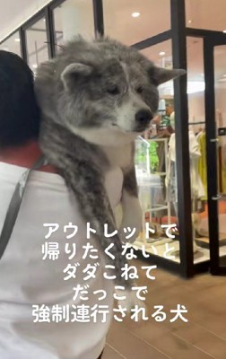 「まだ帰りたくない…」