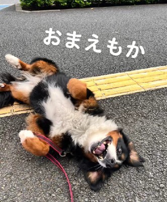 ジェニちゃんも…!!