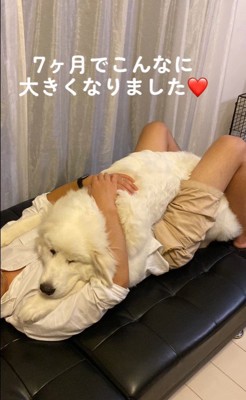 ハクくんの成長⑩