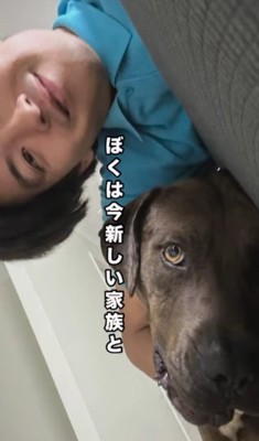 新しい家族との再出発