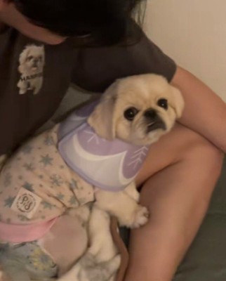 「もうママなんて信じない！」