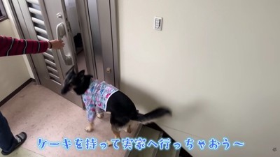 おばあちゃんの家へ