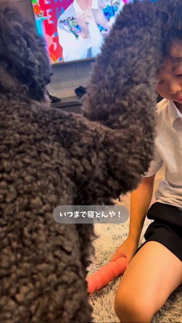 男の子の頭を前足でたたき続ける犬