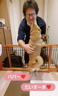 「だいすき！」が止まらない