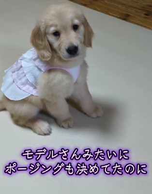 ヒラヒラのピンクのワンピース