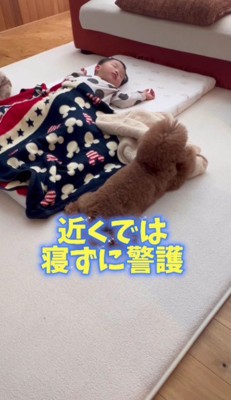 自分のお昼寝は後回し…