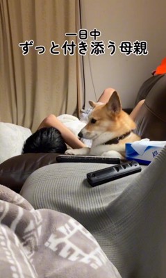 体調不良の男の子に付き添うチリちゃん2