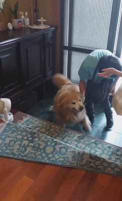 「また戻ったら嫌だよ！」