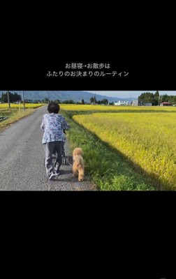 こたちゃん&くむちゃんと祖父母の思い出5