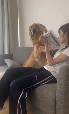 顔を抑えられる犬1