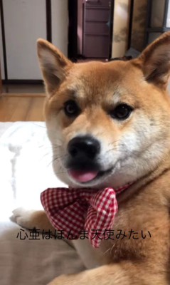 「私がいるから安心して」