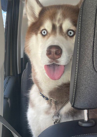 「なん…だと…?」