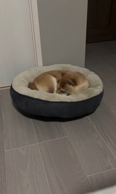 はむちゃんの寝落ち9