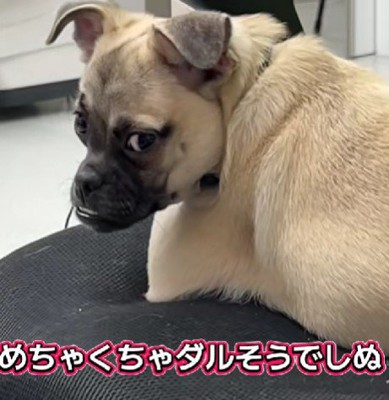 しゃくれた口は…