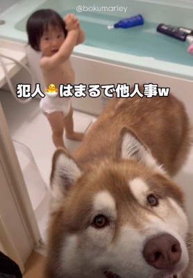 赤ちゃんは気にしない