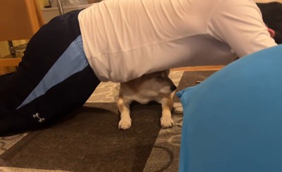 筋トレ中のお兄ちゃんとこじろー君2