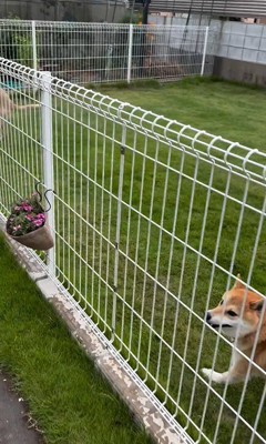 外で遊んでいた幸太郎くんと凛ちゃん4