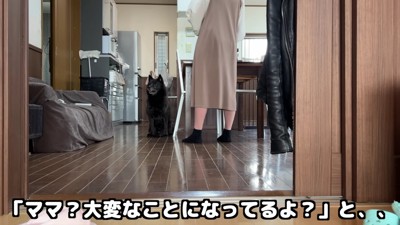 「すごいことになってるよ」