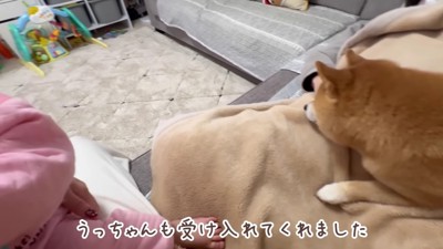 ほのちゃんも座れたよ