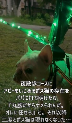 ピカピカ光って揺れる