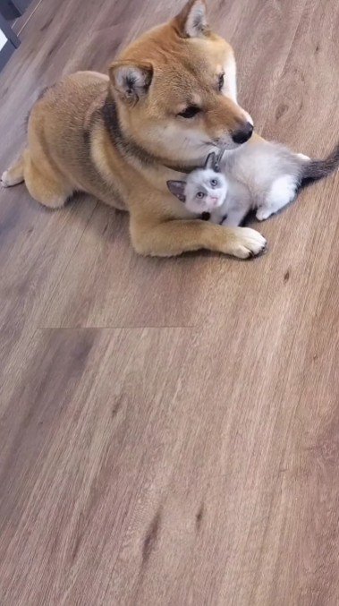 本当の親子みたい♡